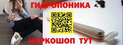 крисы Волжск