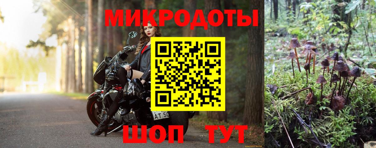 Галлюциногенные грибы Psilocybine cubensis  Вход с VPN  Новокуйбышевск 